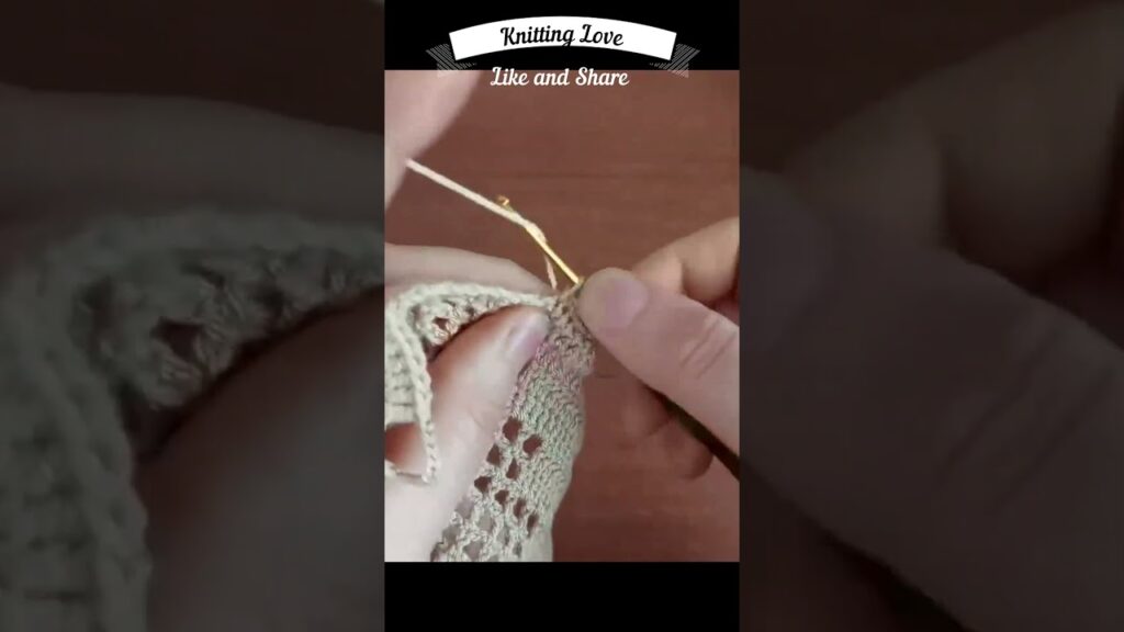 Mesmerizing Crochet Rani Lace: Shawl and Blouse Tutorial in Minutes!” #crochet #shortvideo